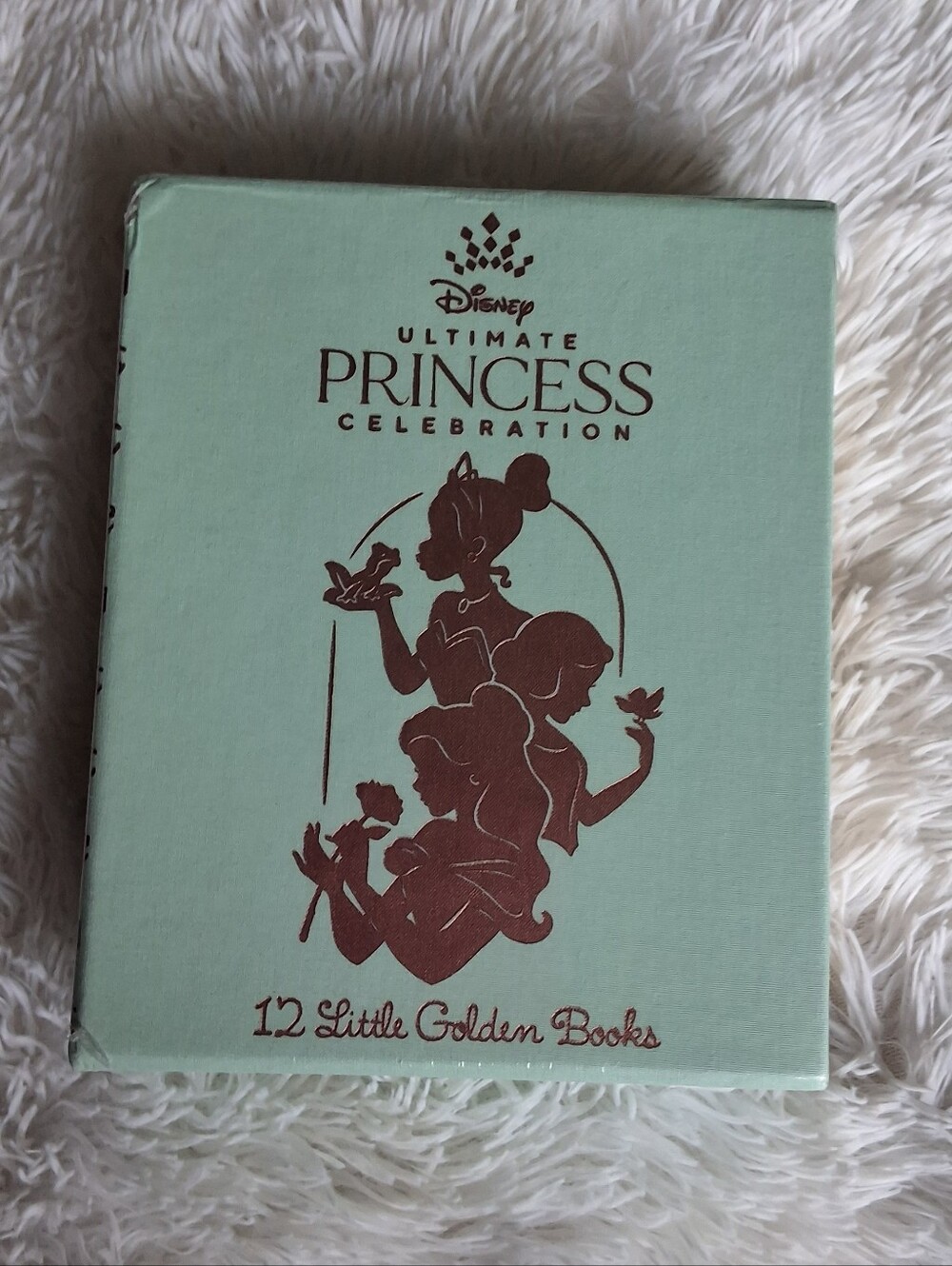 Disney Ultimate Princess Celebration 12 Little Golden Books NEW